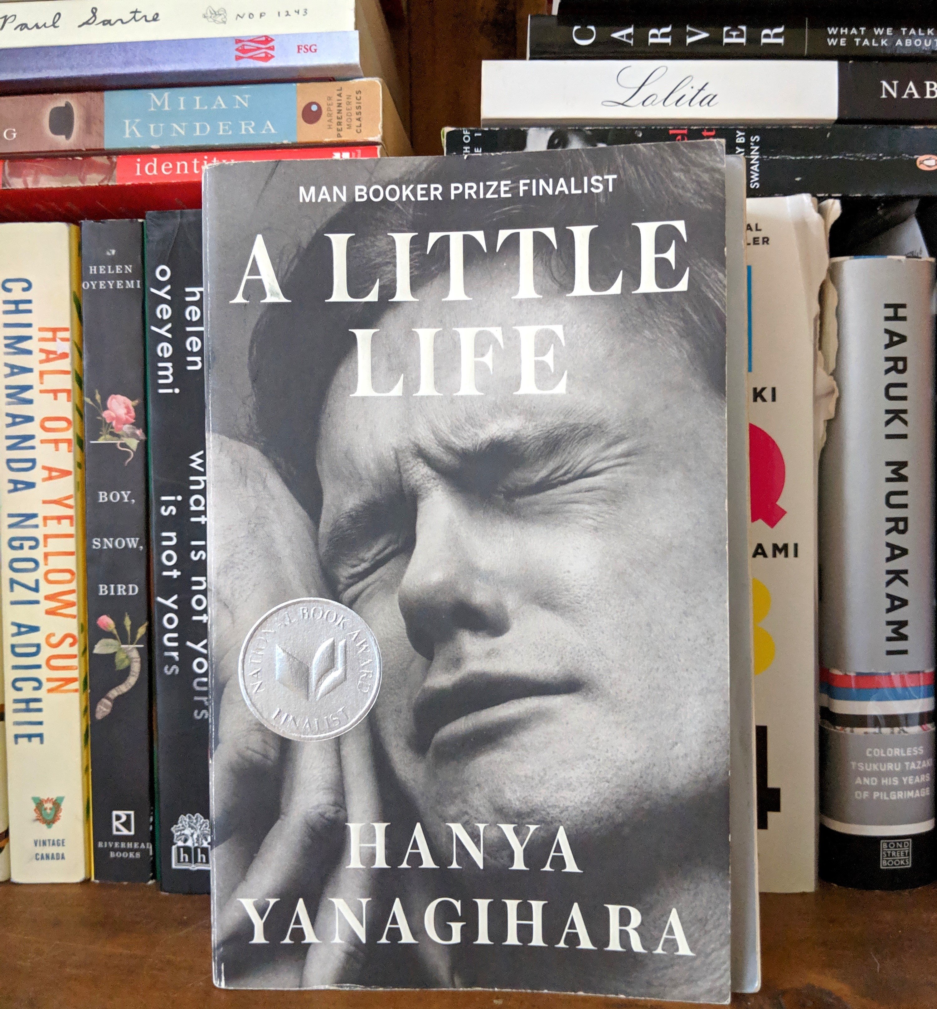 A little life книга