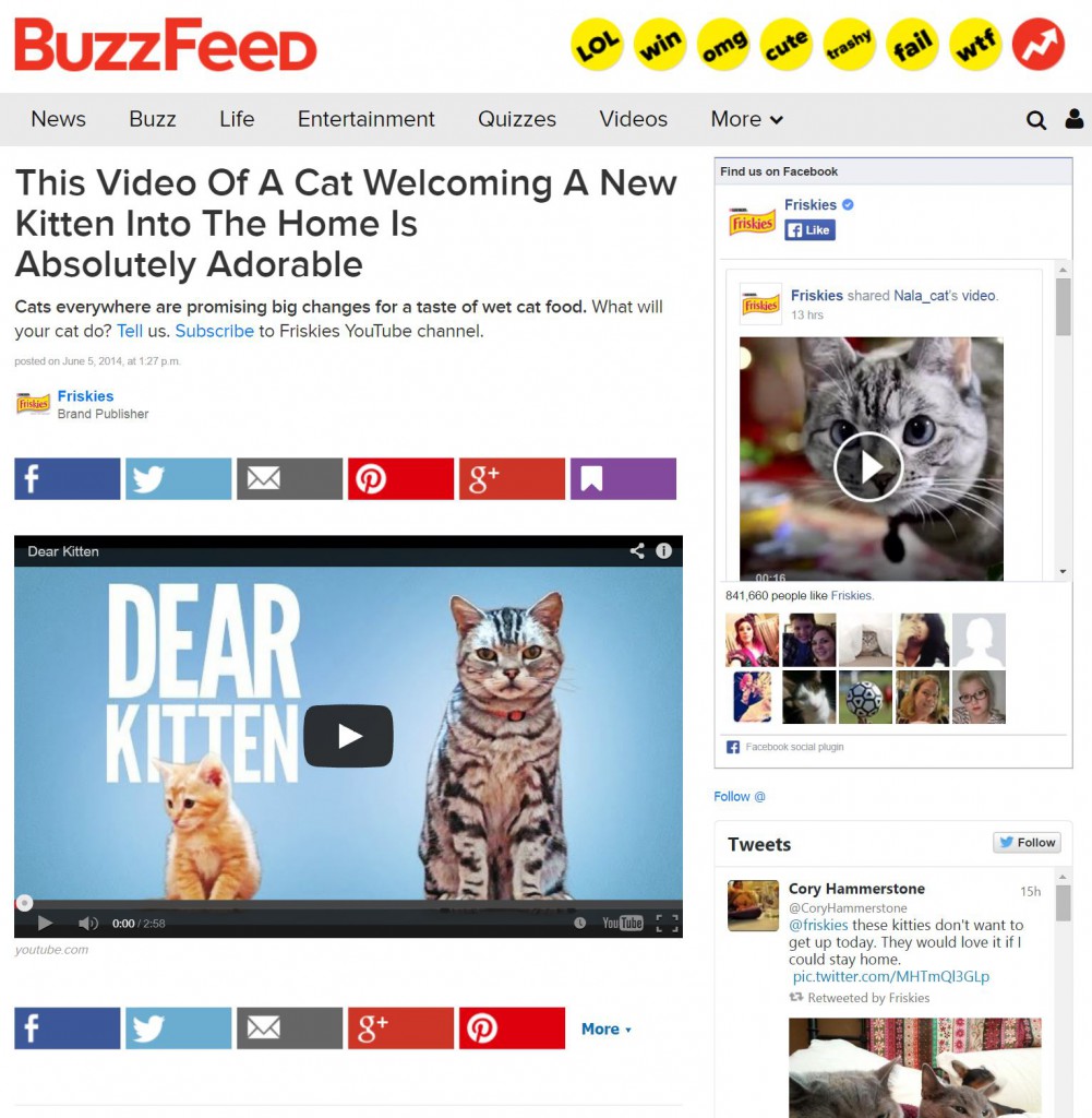 buzzfeed dear kitten