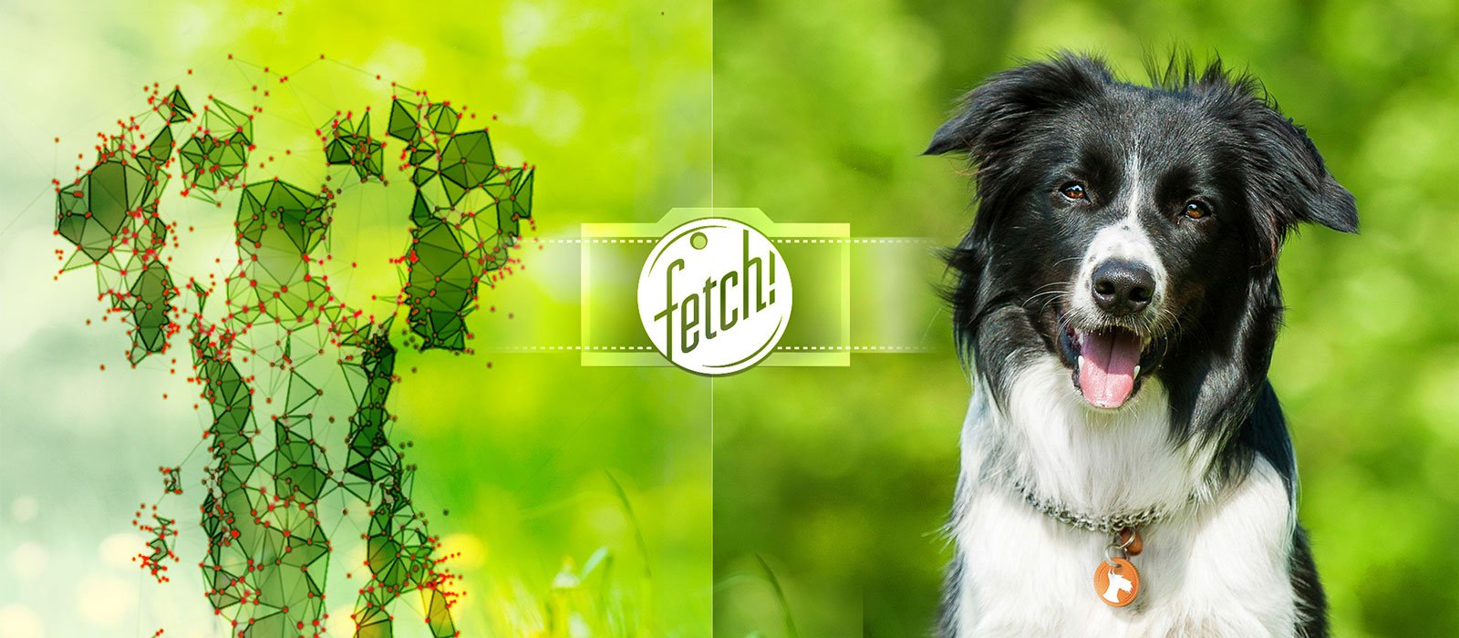 DMesh-Fetch-Illustration3-2000px