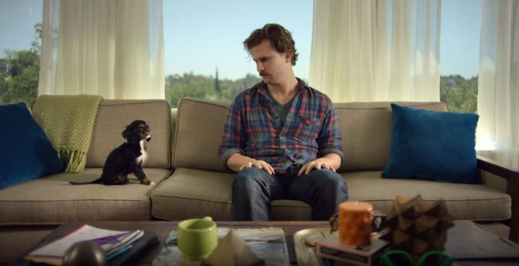 Purina and Buzzfeed - screenshot