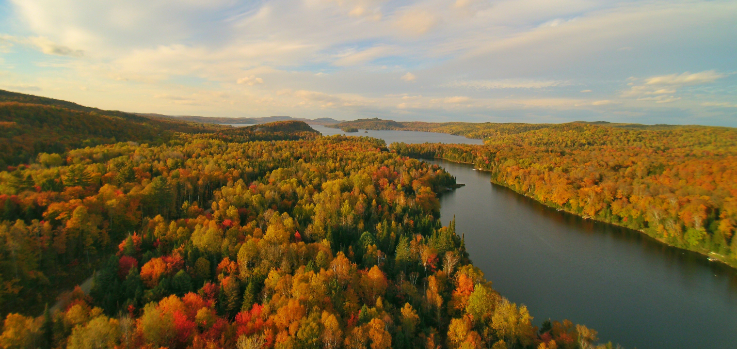 Beauty of Change: BBC + Tourism Montreal